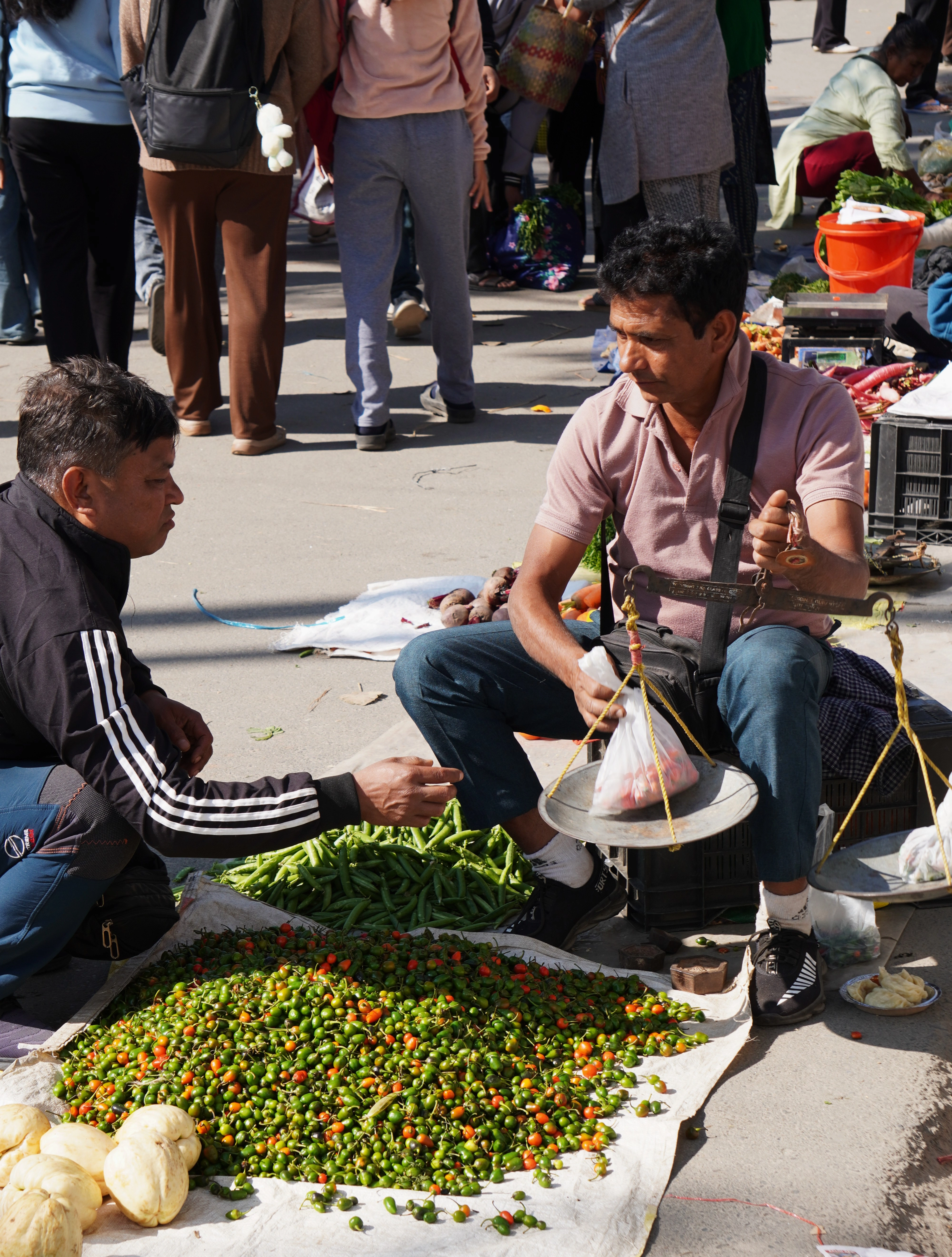 Agricultural Haat Event