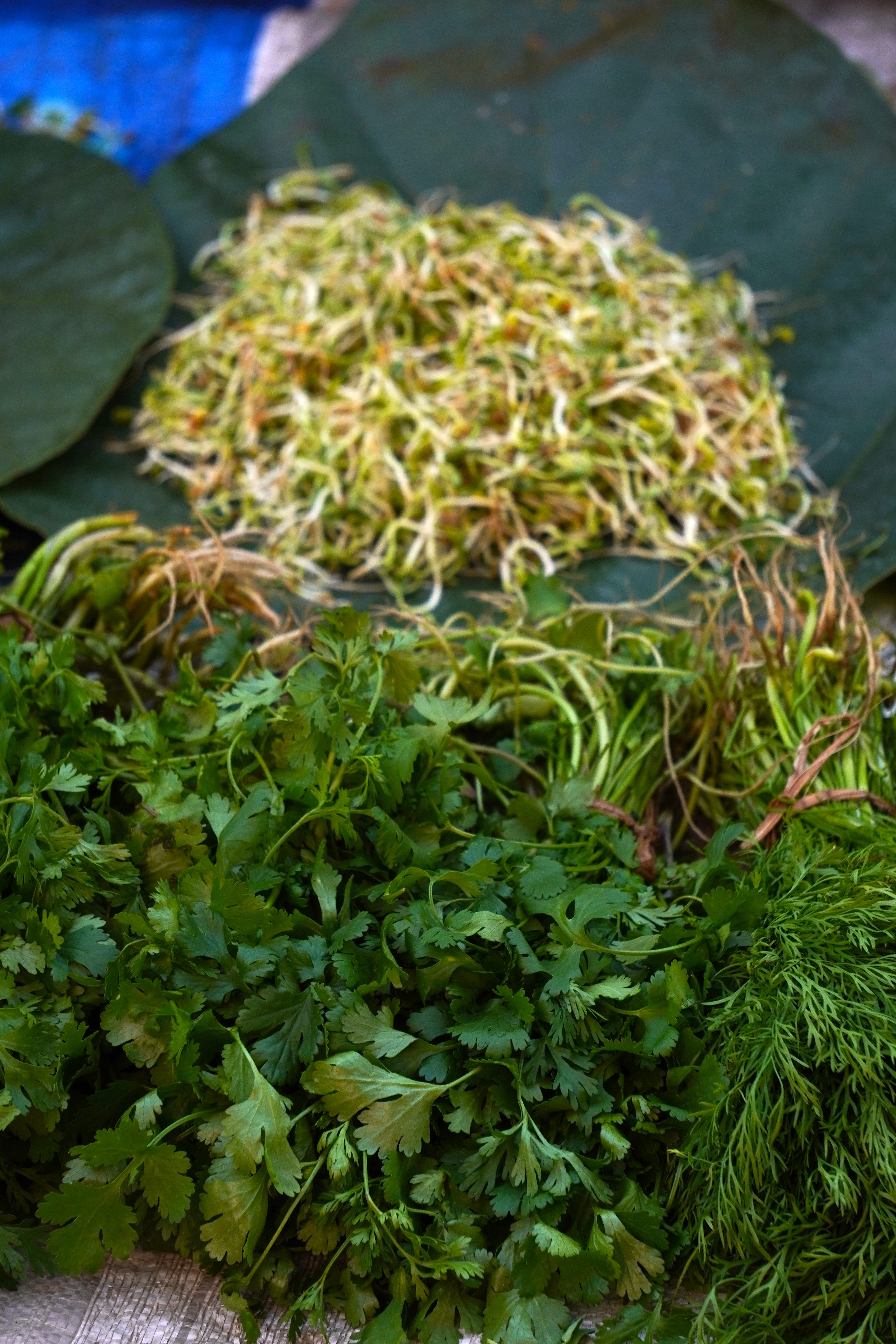 Agricultural Haat Event