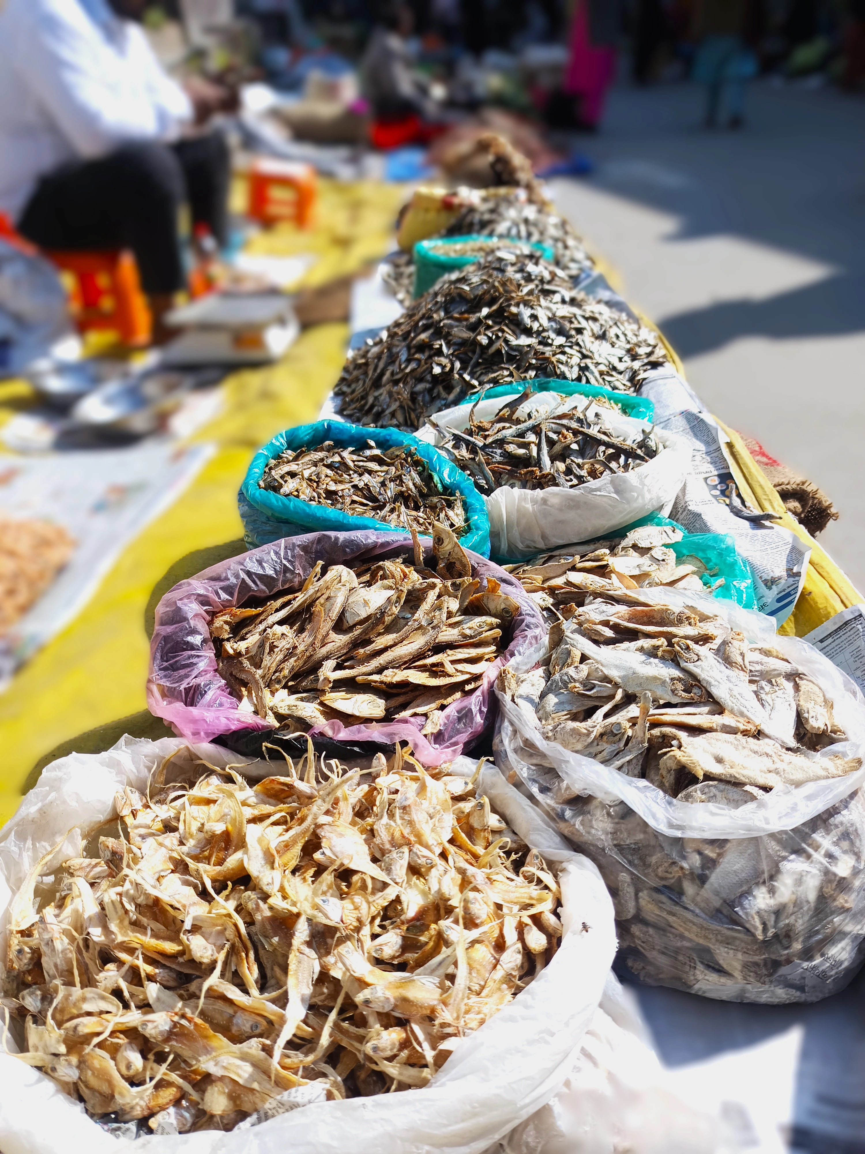 Agricultural Haat Event