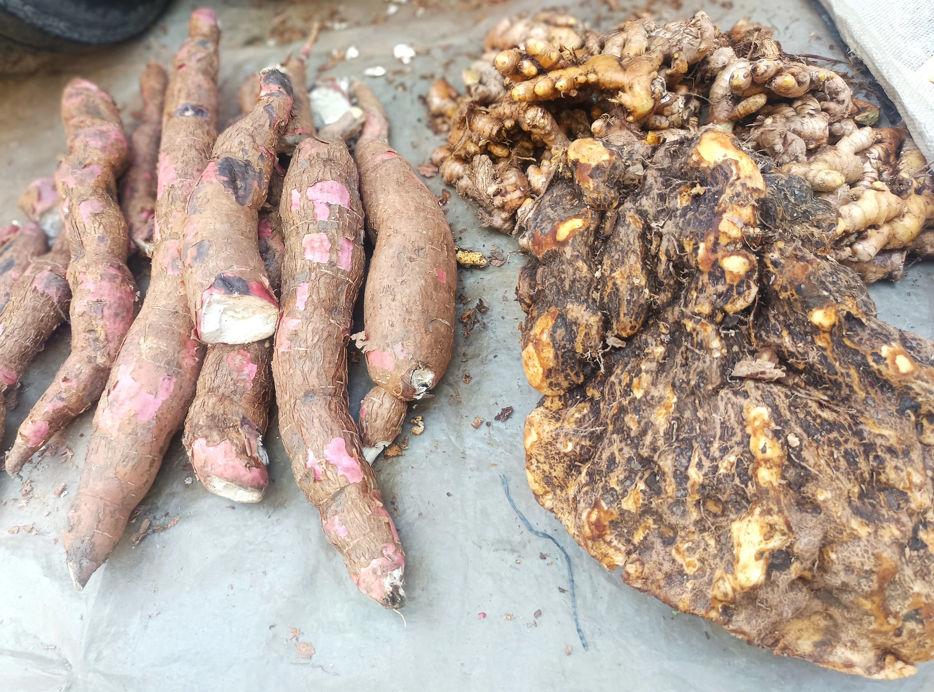 Agricultural Haat Event